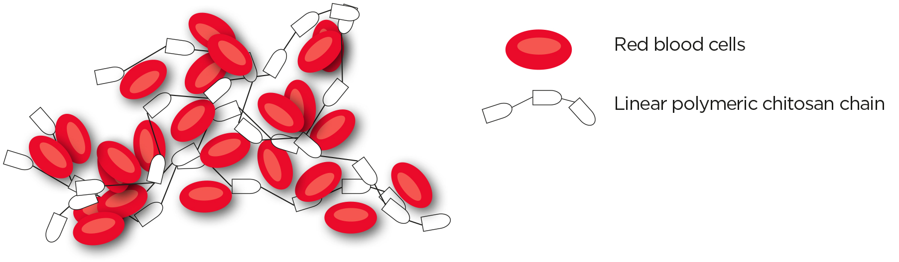 Fig4 Monograph