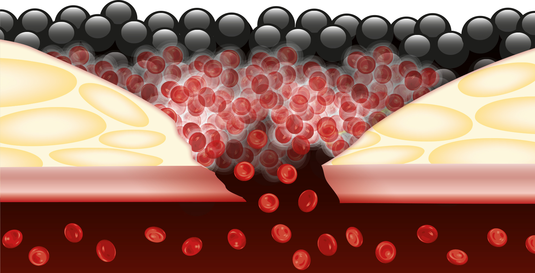 Fig5 Monograph